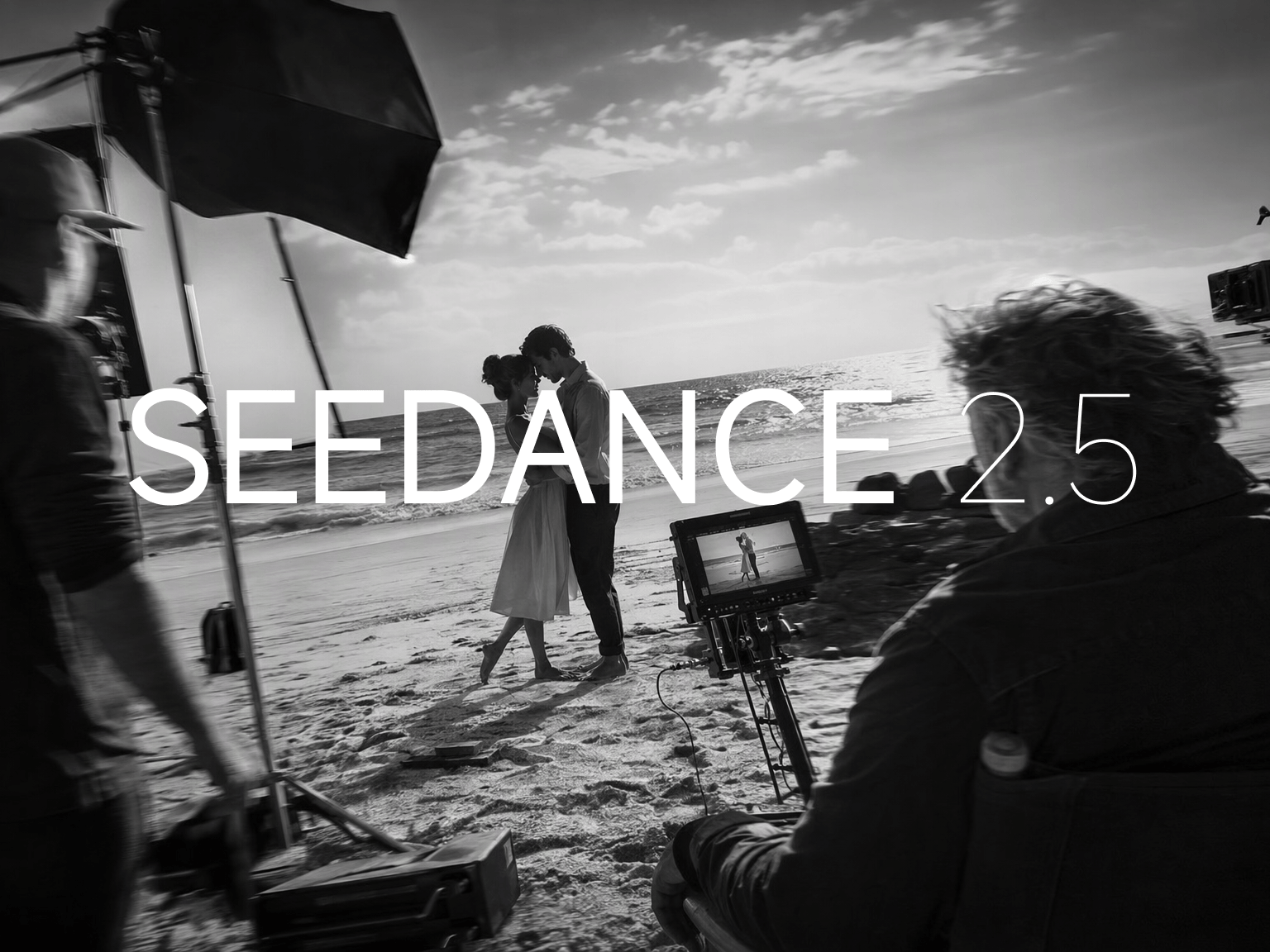 Seedance 2.5 AI 视频生成器